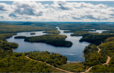 trees and greenery around Ile Clément in Nominingue, Québec