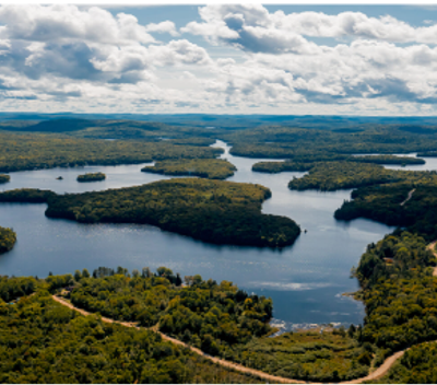 trees and greenery around Ile Clément in Nominingue, Québec