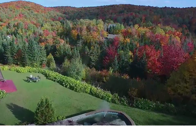 colourful trees on a property in Saint-Adolphe D’Howard, Québec