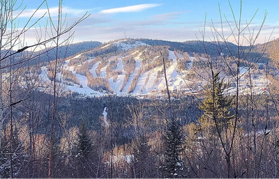 trees surrounding a snowy mountain in Val St-Côme, Québec